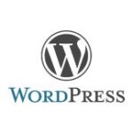agencia-seo-sevilla-logo-wordpress
